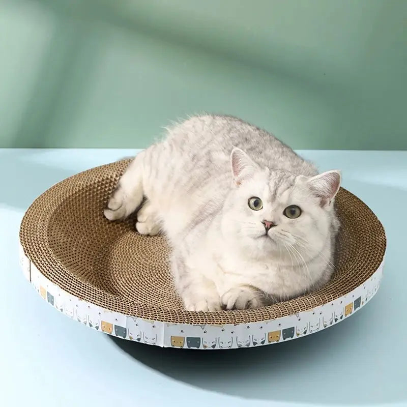 Cat scratch board, resistant to scratching and unable to shed debris, bowl shaped cat nest, corrugated circular oval cat scratch