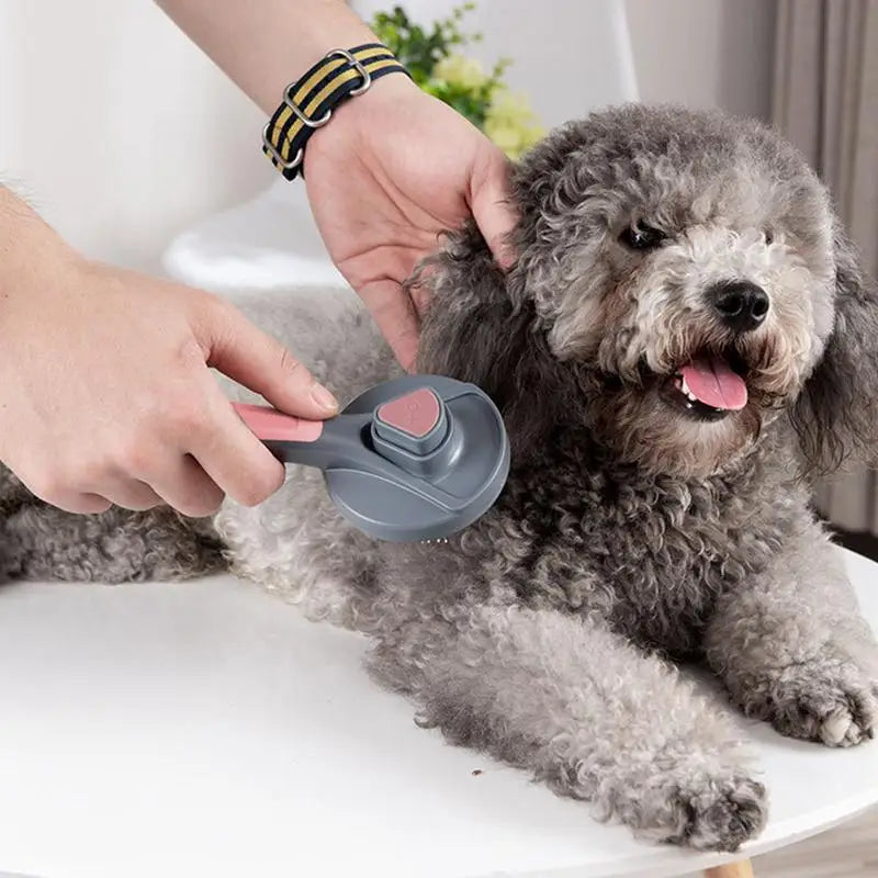 New Pet Cat Brush Dog Comb Hair Removes Pet Hair Comb Self Cleaning Slicker Brush For Cats Dogs Removes Hair Beauty Products