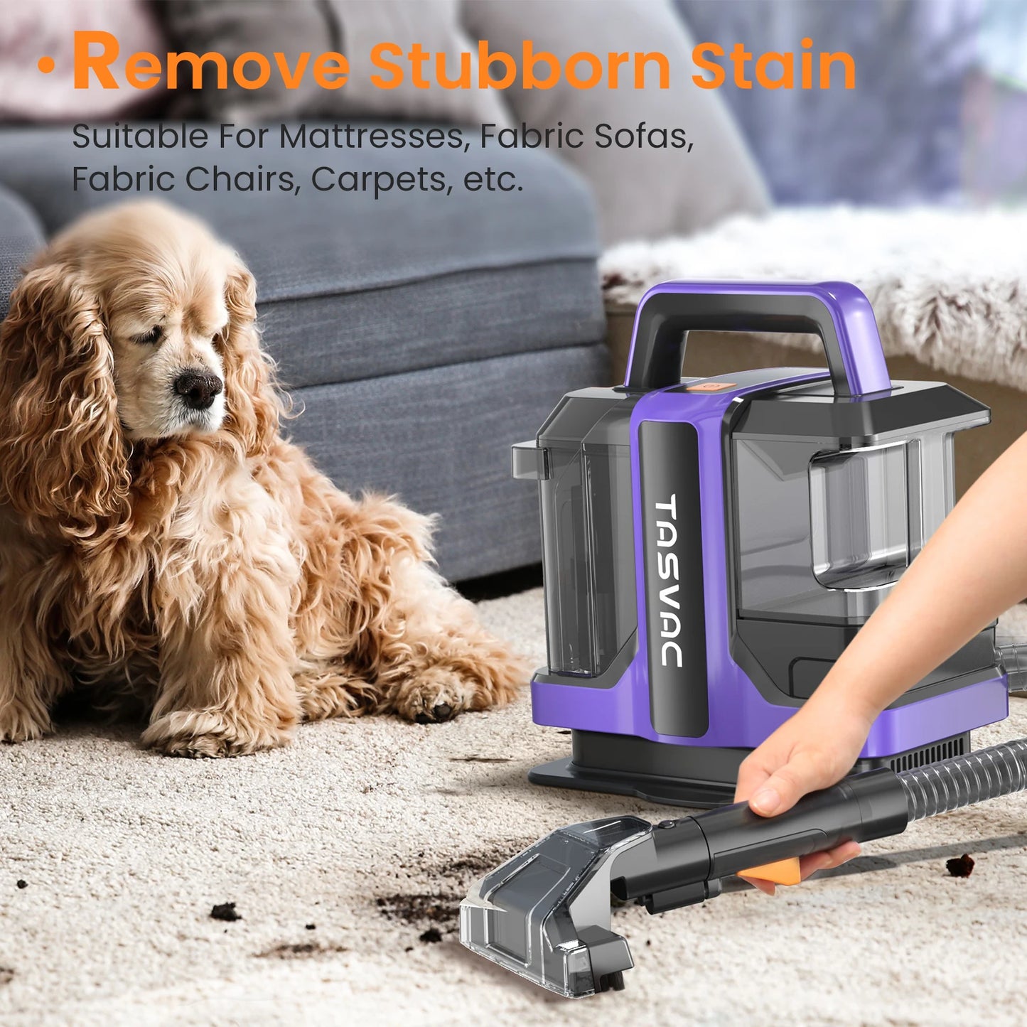 TASVAC C7 Portable Carpet & Upholstery Cleaner Machine, Spot And Stain Deep Cleaner With Two Brushes & Remover Formula For Pets,
