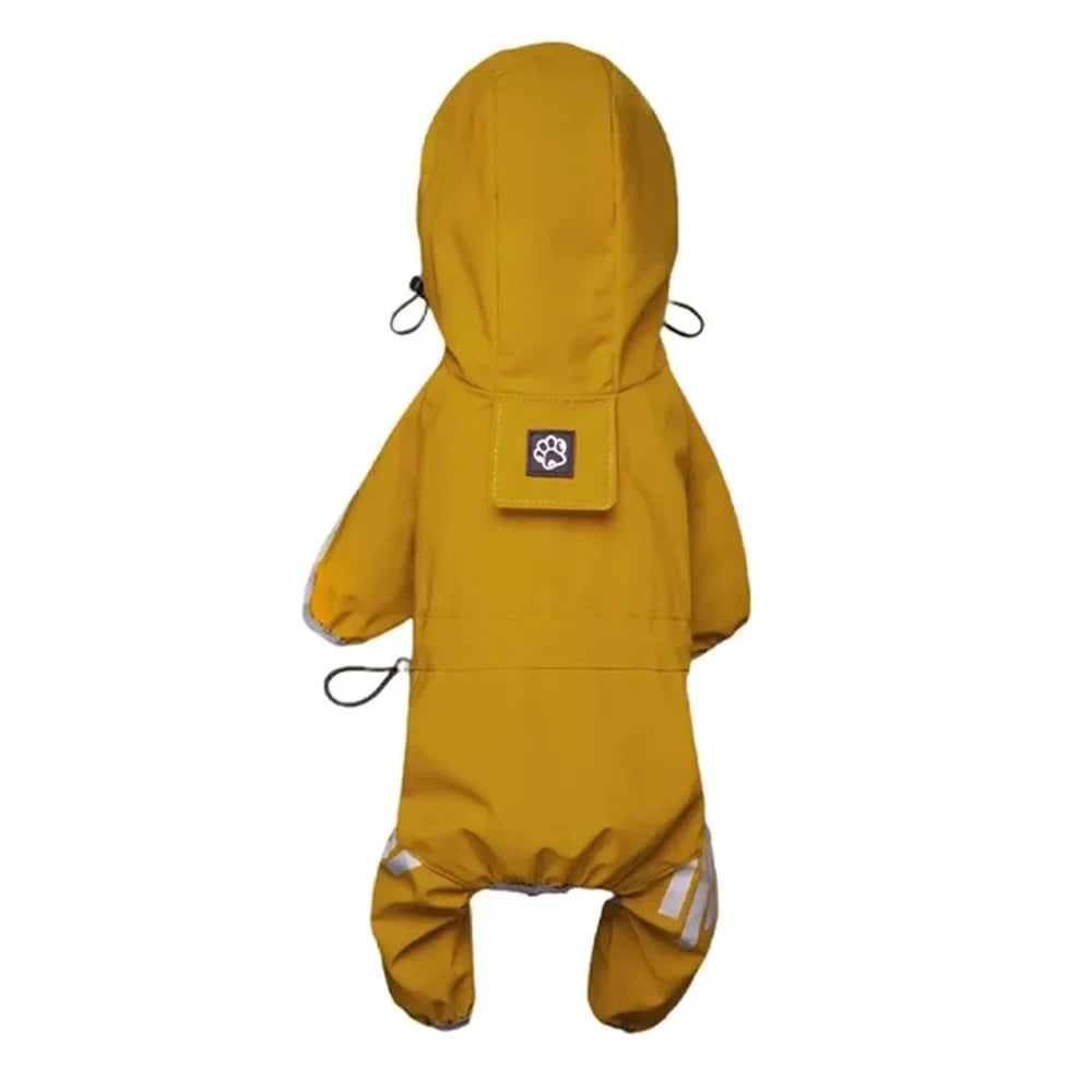 50389452423494|50389452456262|50389452554566|50389452587334|50389452620102