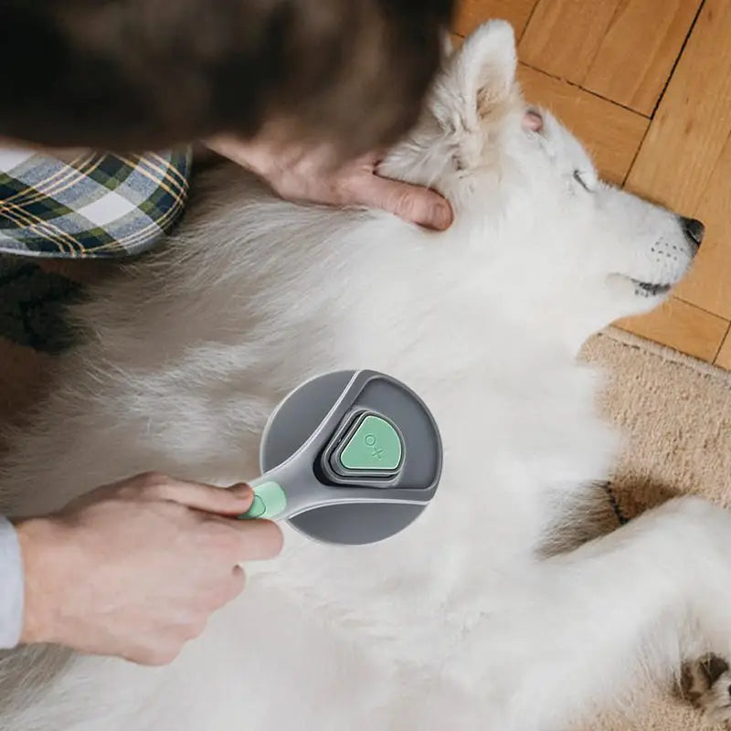 New Pet Cat Brush Dog Comb Hair Removes Pet Hair Comb Self Cleaning Slicker Brush For Cats Dogs Removes Hair Beauty Products